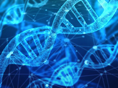 Metagenomics-&-NGS-Results