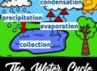 Enjoy learning about the all important water cycle with your kids.
