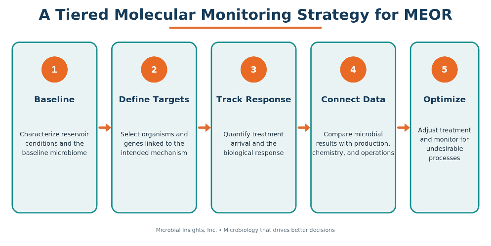 MEOR 3 Five-phase MEOR molecular monitoring framework.